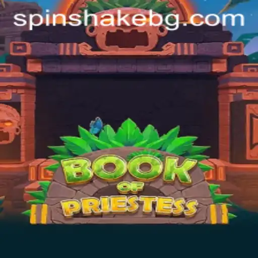 Exploring the Adventure of BookOfPriestess: A Comprehensive Guide